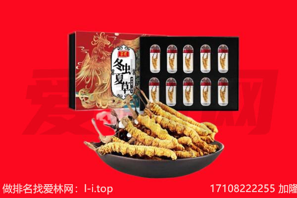 三亚市崖州回收虫草.jpg